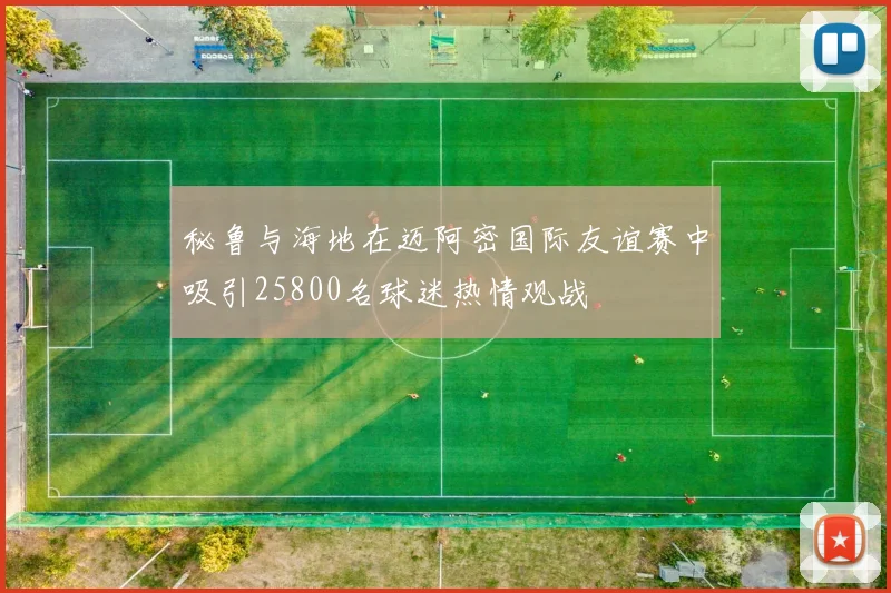 秘鲁与海地在迈阿密国际友谊赛中吸引25800名球迷热情观战
